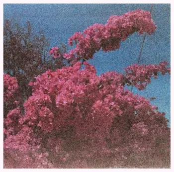 Elisabeth Klinck: Picture a Frame