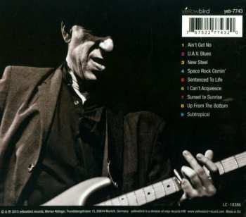 CD Elliott Sharp's Terraplane: 4am Always DIGI