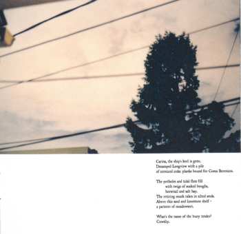 CD Eluvium: Talk Amongst The Trees