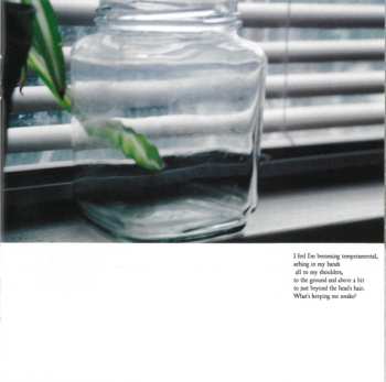 CD Eluvium: Talk Amongst The Trees