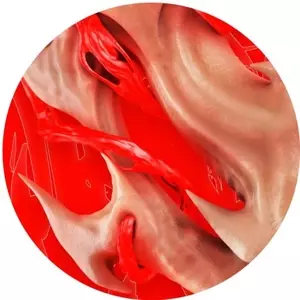 Flesh EP