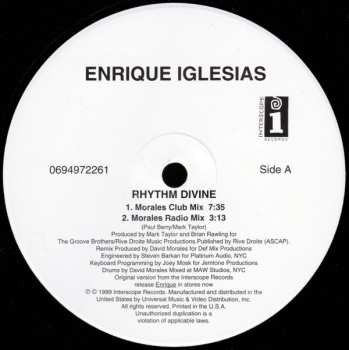 LP Enrique Iglesias: Rhythm Divine