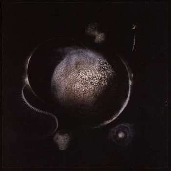 CD Enthroned: Cold Black Suns