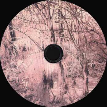 CD Esben And The Witch: Violet Cries