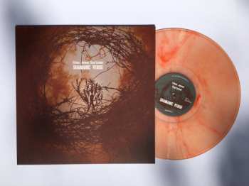 LP Ethan James Startzman: Shamanic Verse CLR