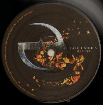 2LP/CD Evanescence: Synthesis
