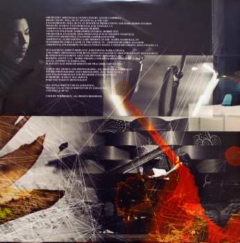 2LP/CD Evanescence: Synthesis