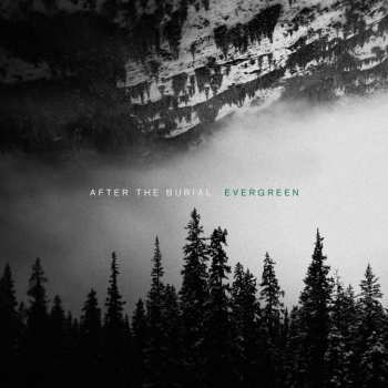 LP After The Burial: Evergreen