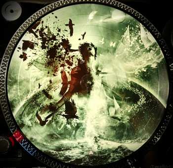 2LP Evergrey: The Storm Within PIC | LTD