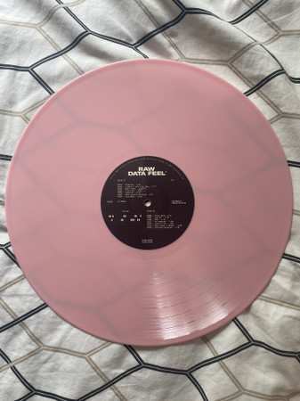 LP Everything Everything: Raw Data Feel LTD | CLR