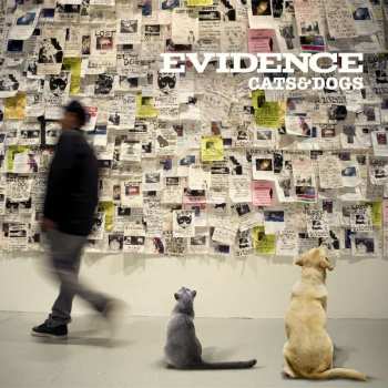 CD Evidence: Cats & Dogs