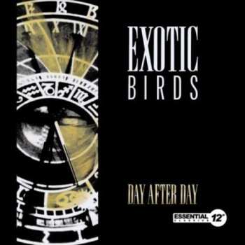 Album Exotic Birds: Day After Day