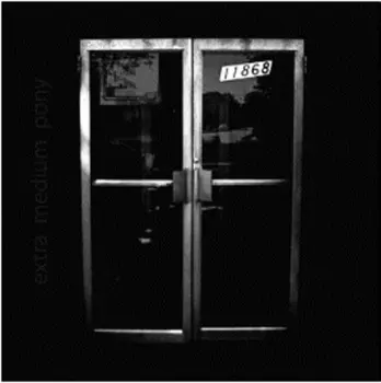 Extra Medium Pony: 11868