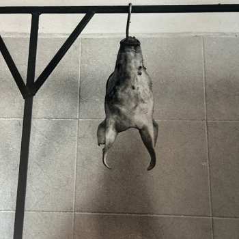 2LP Fabri Fibra: Squallor