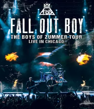 The Boys of Zummer Tour: Live In Chicago