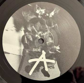 LP FALSE LEFTY: Time Will Tell