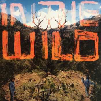 2LP FaltyDL: In The Wild