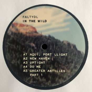 2LP FaltyDL: In The Wild
