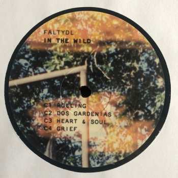 2LP FaltyDL: In The Wild