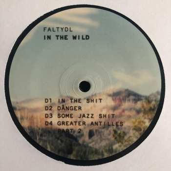 2LP FaltyDL: In The Wild