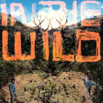 CD FaltyDL: In The Wild