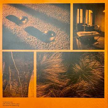 2LP Felbm: Elements of Nature