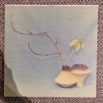 2LP Félicia Atkinson: The Flower And The Vessel