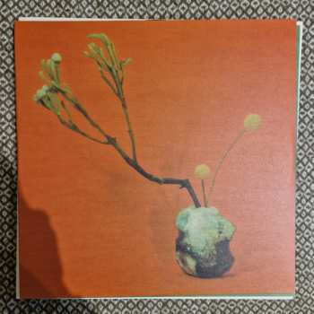 2LP Félicia Atkinson: The Flower And The Vessel