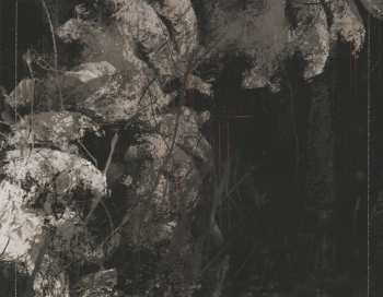 CD Fell Ruin: To The Concrete Drifts