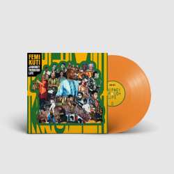 Album Femi Kuti: Journey Through Life