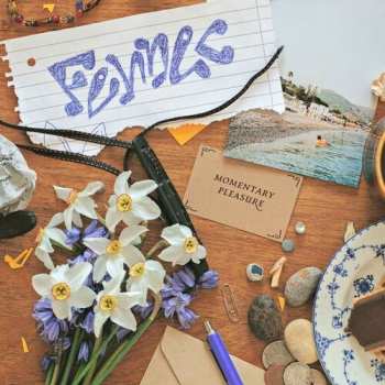 Album Fennec: Momentary Pleasure