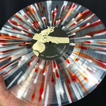LP Fern: Intersubjective CLR | LTD