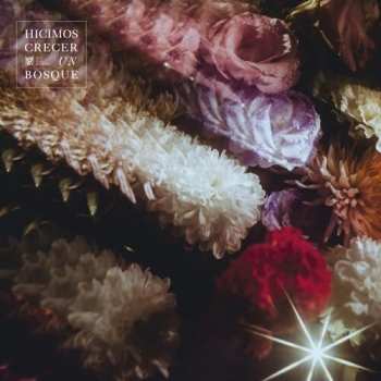 CD Fin del Mundo: Hicimos Crecer Un Bosque