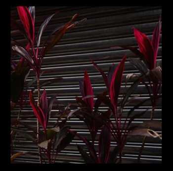 Album Fine Place: This New Heaven