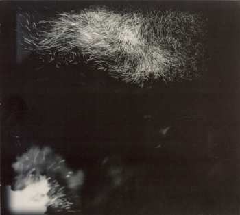 CD Fink: Horizontalism