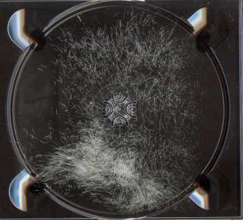 CD Fink: Horizontalism