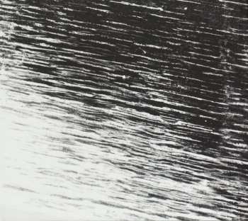 CD Fink: Perfect Darkness