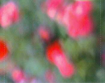 CD Fiona Apple: Extraordinary Machine