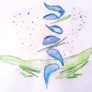 LP Fis: Iterations