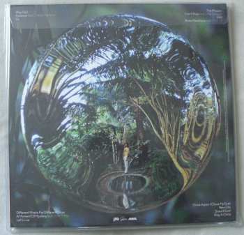 2LP FKJ (French Kiwi Juice): Vincent