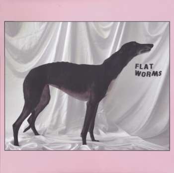 LP Flat Worms: Flat Worms