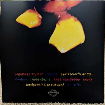 LP Fleshwater: We’re Not Here To Be Loved LTD | CLR