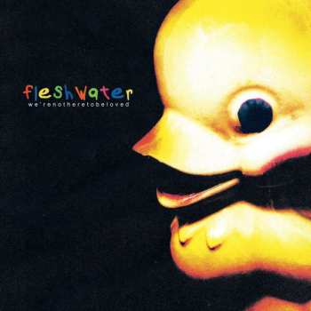 LP Fleshwater: We’re Not Here To Be Loved LTD | CLR