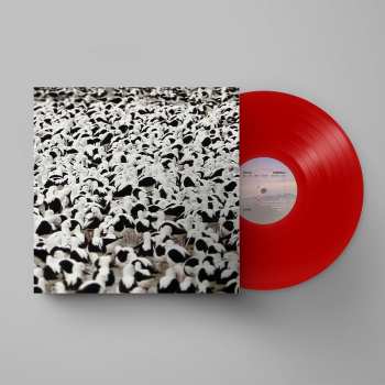 LP Stella Donnelly: Flood LTD | CLR