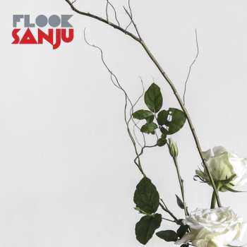 CD Flook: Sanju