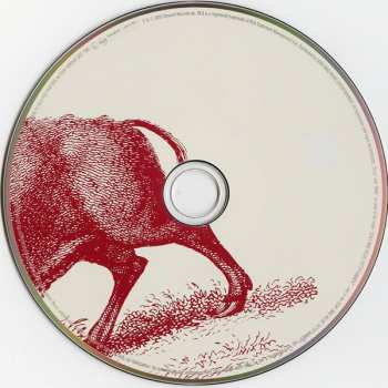 2CD Foo Fighters: In Your Honour