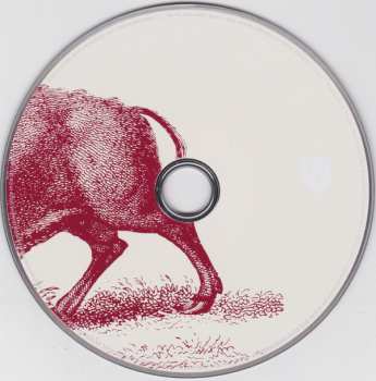 2CD Foo Fighters: In Your Honor