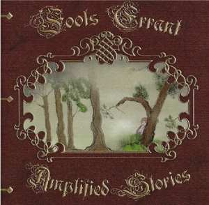 CD Fools Errant: Amplified Stories