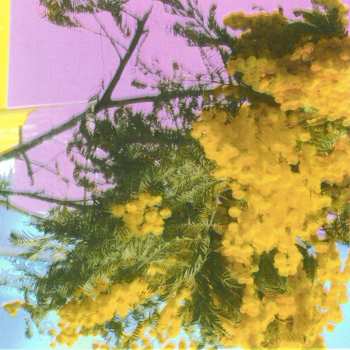 Album Four Tet: Into Dust (Still Falling)