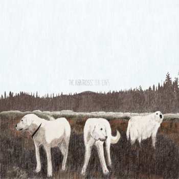 Album Foxing: The Albatross: Ten Years